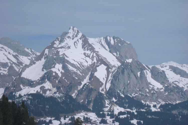 WILDHUSER SCHAFBERG