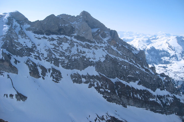 WILDHUSER SCHAFBERG