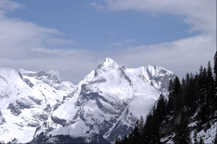 WILDHUSER SCHAFBERG