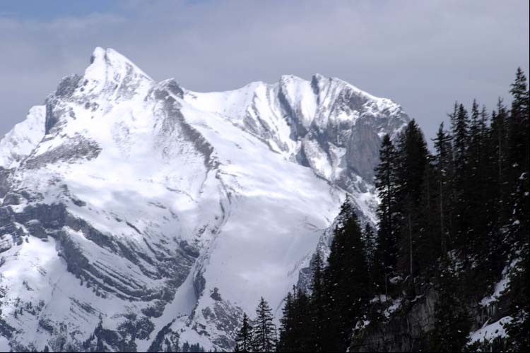 WILDHUSER SCHAFBERG