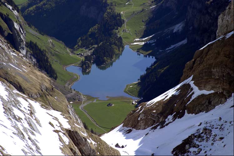 SEEALPSEE AR