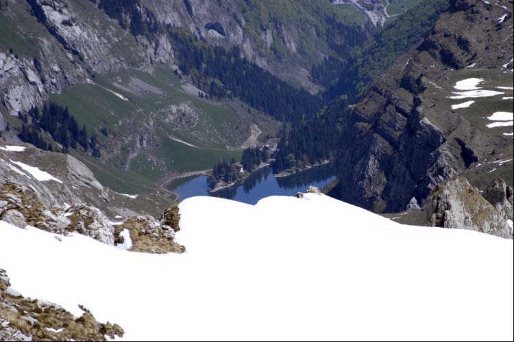 SEEALPSEE AR