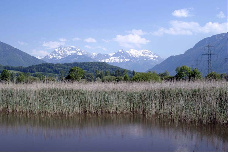 KALTBRUNNER RIET SG