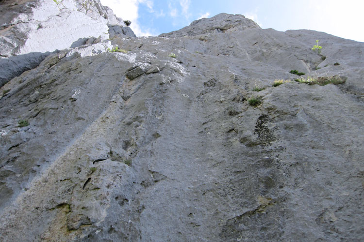 SCHAFBERG WESTWAND