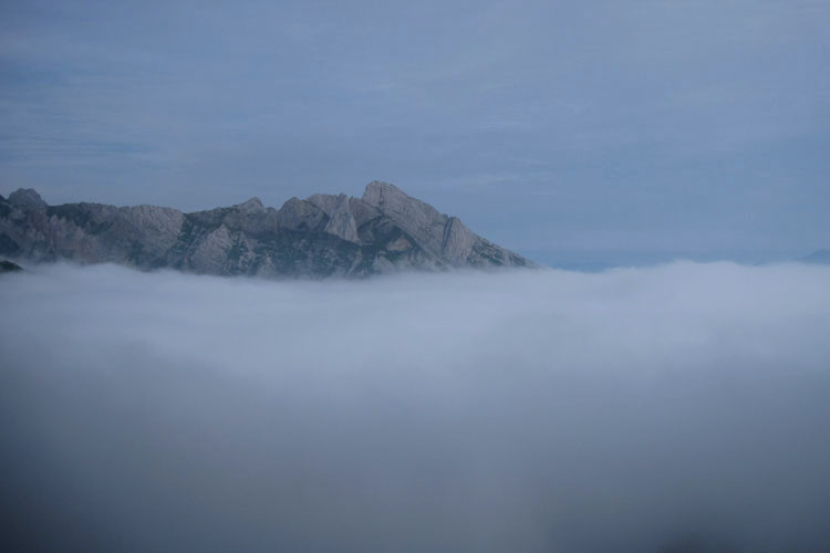 WILDHUSER SCHAFBERG