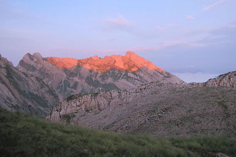 WILDHUSER SCHAFBERG