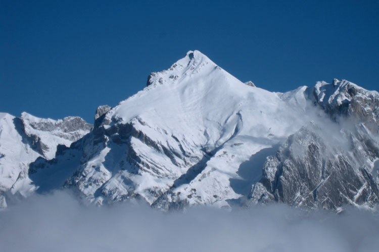 WILDHUSER SCHAFBERG