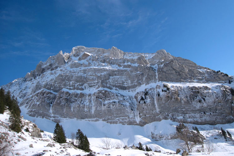 WILDHUSER SCHAFBERG