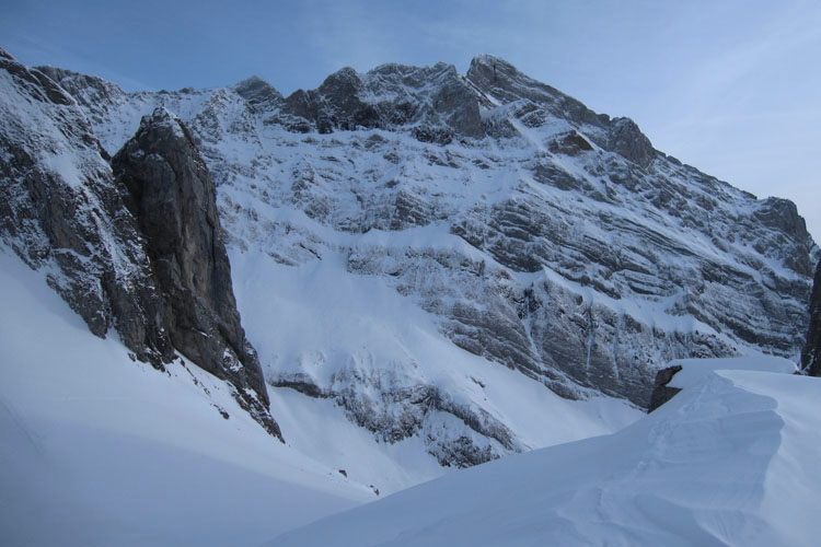 WILDHUSER SCHAFBERG