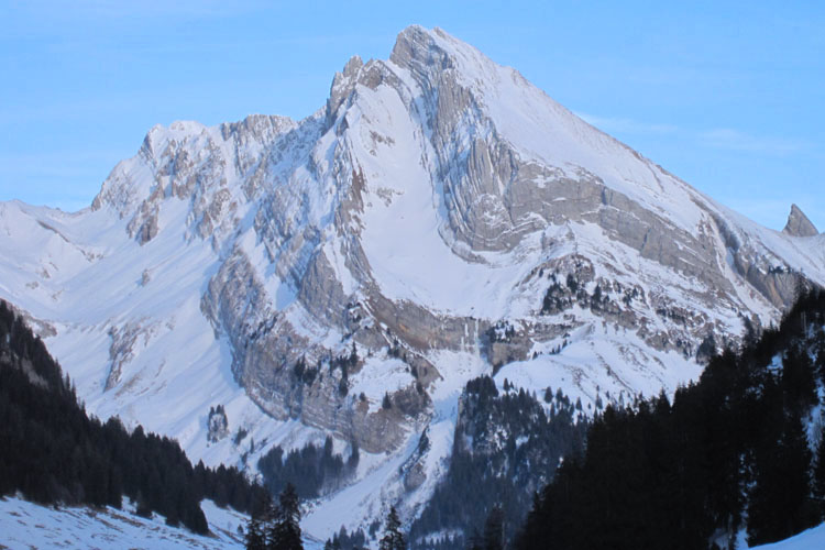 WILDHUSER SCHAFBERG