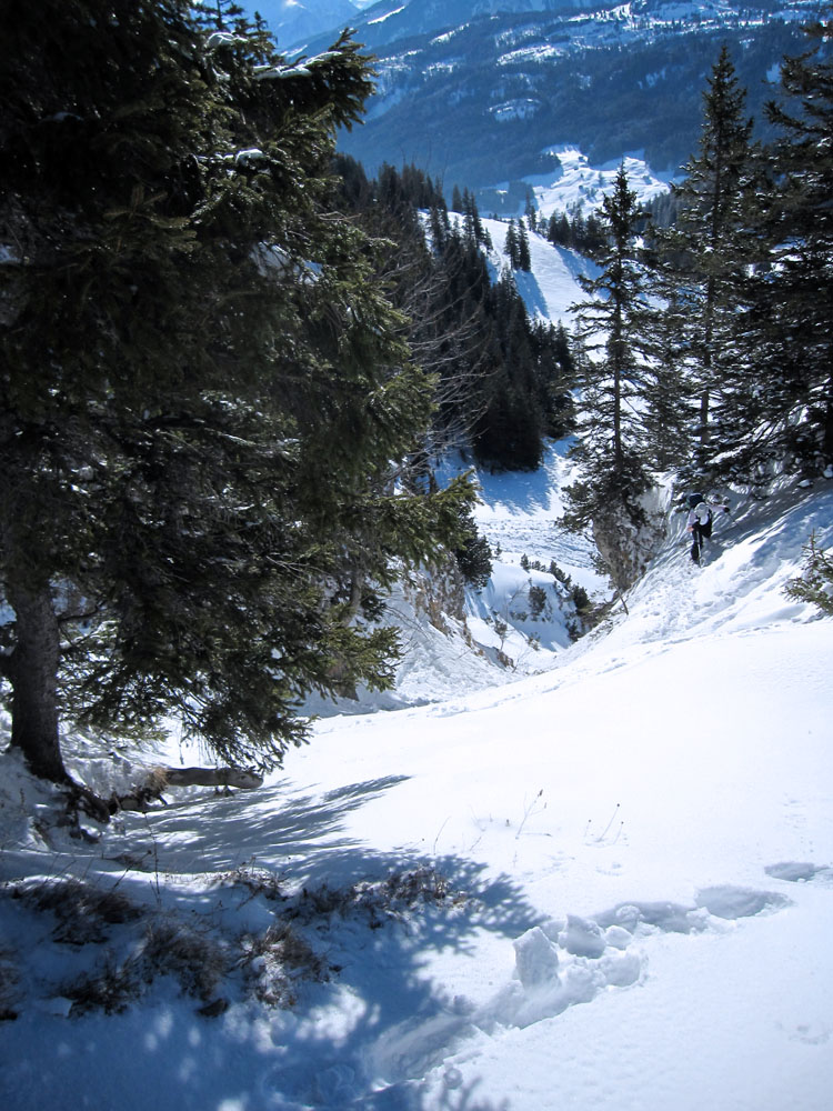 WILDHUSER SCHAFBERG