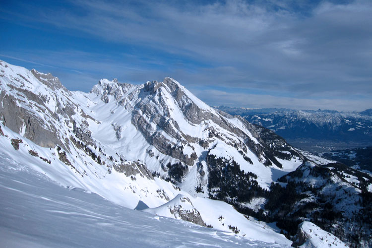 WILDHUSER SCHAFBERG