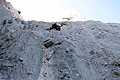 SCHAFBERG WESTWAND