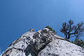 SCHAFBERG WESTWAND