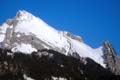 WILDHUSER SCHAFBERG