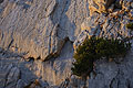 SCHAFBERG KLEINER KLETTERGARTEN