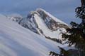 WILDHUSER SCHAFBERG