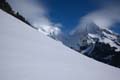 WILDHUSER SCHAFBERG