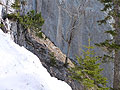 SCHAFBERG WESTWAND