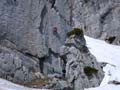 SCHAFBERG KLEINER KLETTERGARTEN