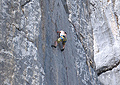 SCHAFBERG KLEINER KLETTERGARTEN