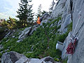 SCHAFBERG KLEINER KLETTERGARTEN