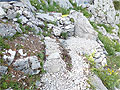 SCHAFBERG KLEINER KLETTERGARTEN