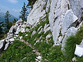 SCHAFBERG KLEINER KLETTERGARTEN