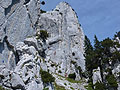 SCHAFBERG KALTE WAND