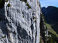 SCHAFBERG KALTE WAND