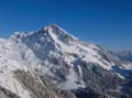 WILDHUSER SCHAFBERG