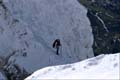 WILDHUSER SCHAFBERG WILDHUSER SCHAFBERG