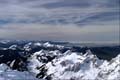 WILDHUSER SCHAFBERG