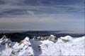 WILDHUSER SCHAFBERG