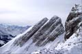 WILDHUSER SCHAFBERG