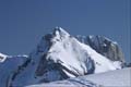 WILDHUSER SCHAFBERG