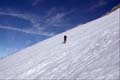 WILDHUSER SCHAFBERG