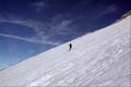 WILDHUSER SCHAFBERG