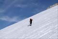 WILDHUSER SCHAFBERG