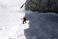 WILDHUSER SCHAFBERG