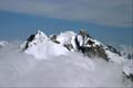 WILDHUSER SCHAFBERG