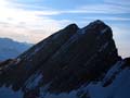 WILDHUSER SCHAFBERG