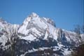 WILDHUSER SCHAFBERG