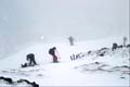 WILDHUSER SCHAFBERG SG