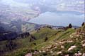 WALENSEE WALENSEE