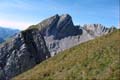 WILDHUSER SCHAFBERG