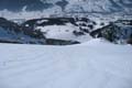 WILDHUSER SCHAFBERG